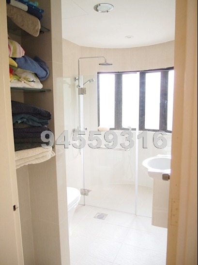The Balmoral (D10), Condominium #539852